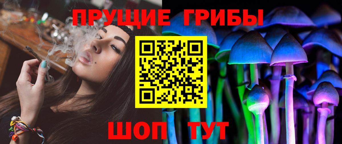 Псилоцибиновые грибы ЛСД  закладка  Ногинск  Вход с VPN 